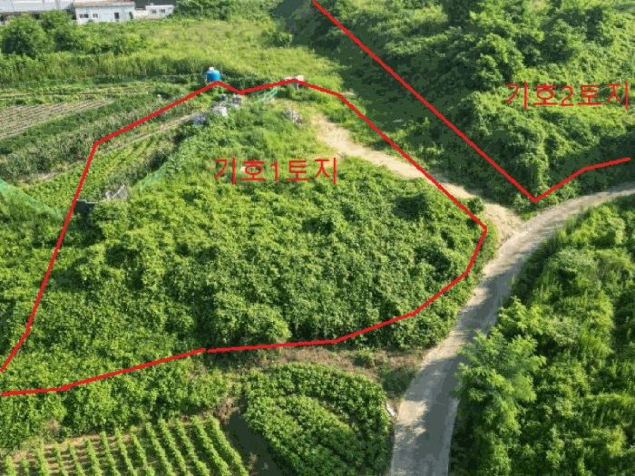 충청북도 음성군 대소면 대풍리 산33-3 임야 경매 사진 5