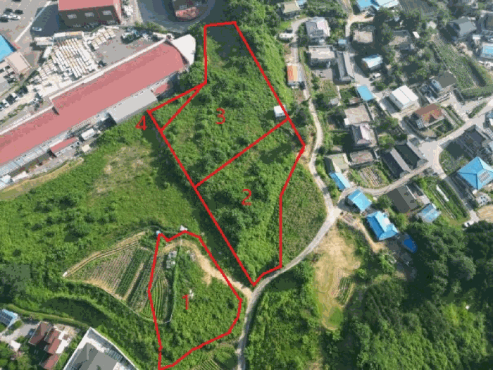 충청북도 음성군 대소면 대풍리 산33-3 임야 경매 사진 6