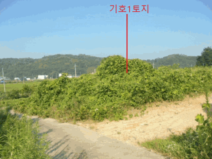 충청북도 음성군 대소면 대풍리 산33-3 임야 경매 사진 8
