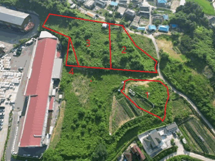 충청북도 음성군 대소면 대풍리 산33-3 임야 경매 사진 9