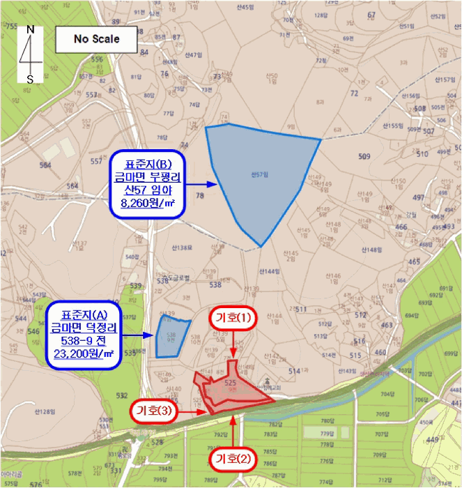 충청남도 홍성군 금마면 덕정리 525-9 외 2필지 전 경매 사진 12
