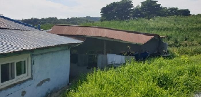 충청남도 홍성군 금마면 덕정리 525-9 외 2필지 전 경매 사진 4