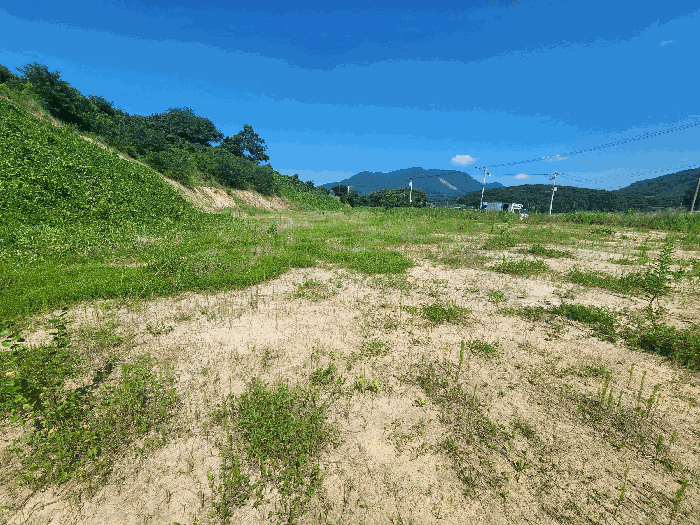 충청남도 홍성군 금마면 덕정리 525-9 외 2필지 전 경매 사진 5