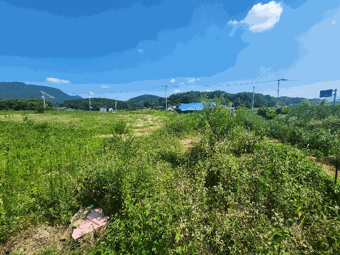충청남도 홍성군 금마면 덕정리 525-9 외 2필지 전 경매 사진 9