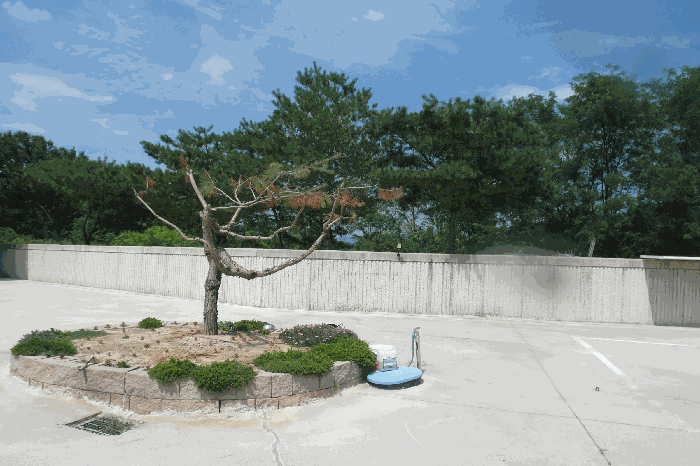 충청남도 논산시 부적면 신교리 147-37 외 2필지 단독주택 경매 사진 17