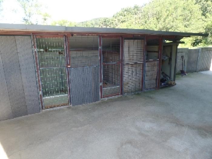충청남도 논산시 부적면 신교리 147-37 외 2필지 단독주택 경매 사진 10