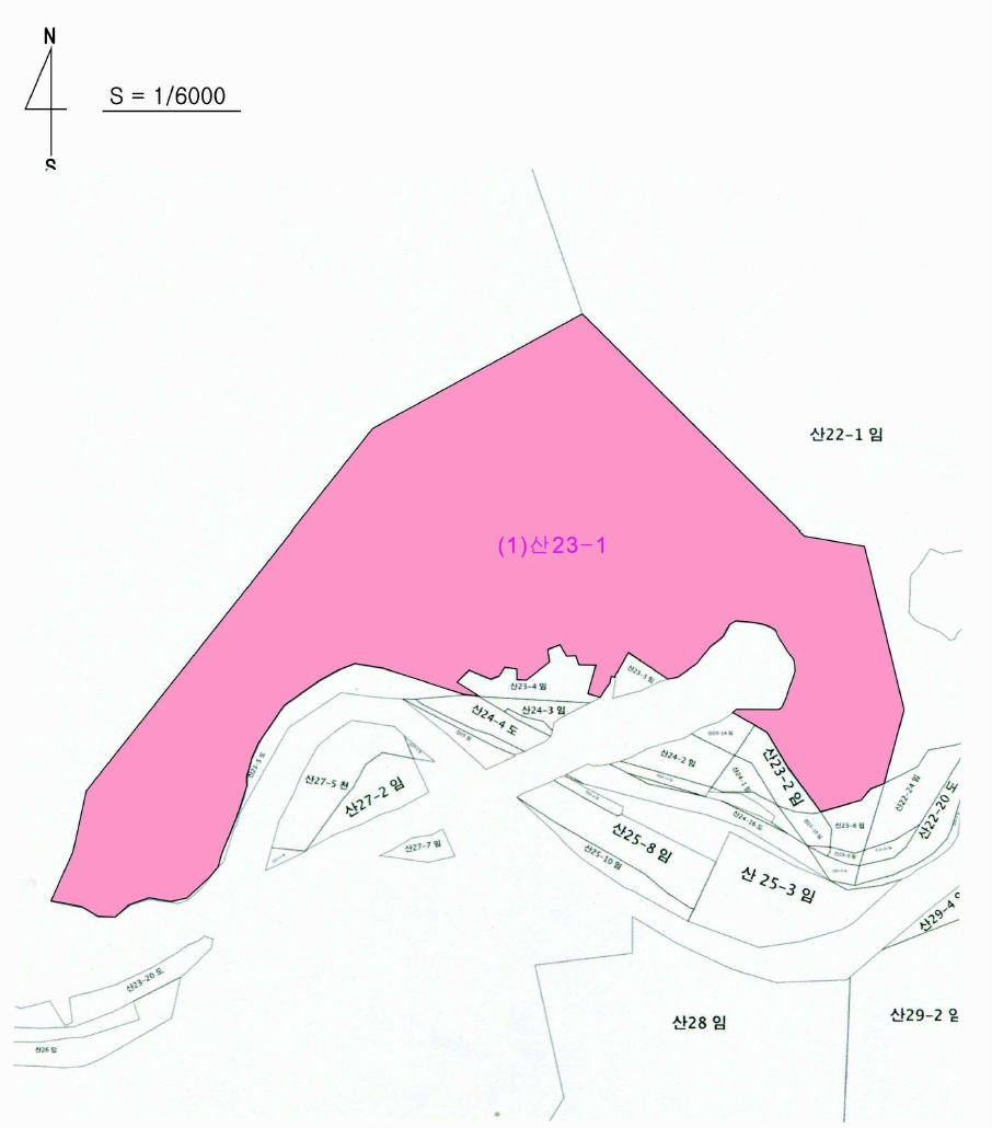 충청남도 부여군 외산면 만수리 산23-1 임야 경매 사진 72