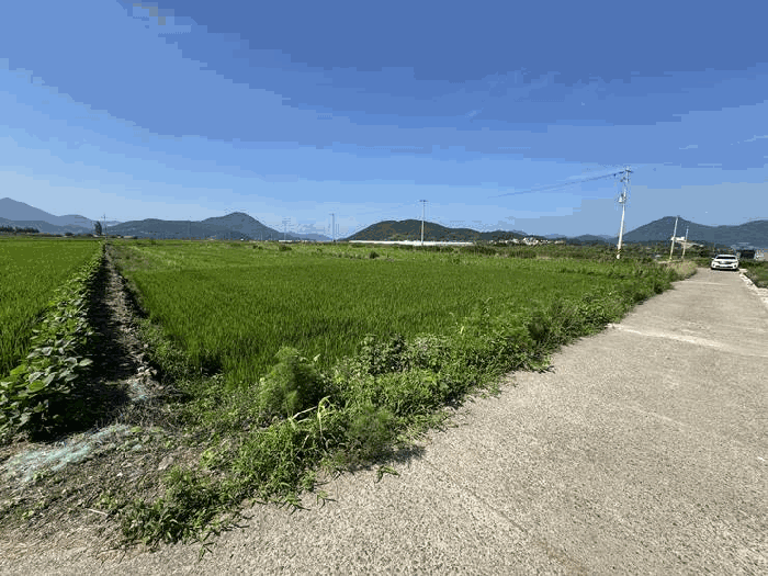 경상남도 거제시 거제면 동상리 69 외 1필지 답 경매 사진 5