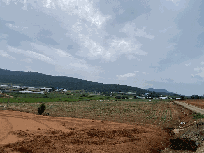 전라남도 무안군 현경면 현화리 114-7 외 1필지 전 경매 사진 5