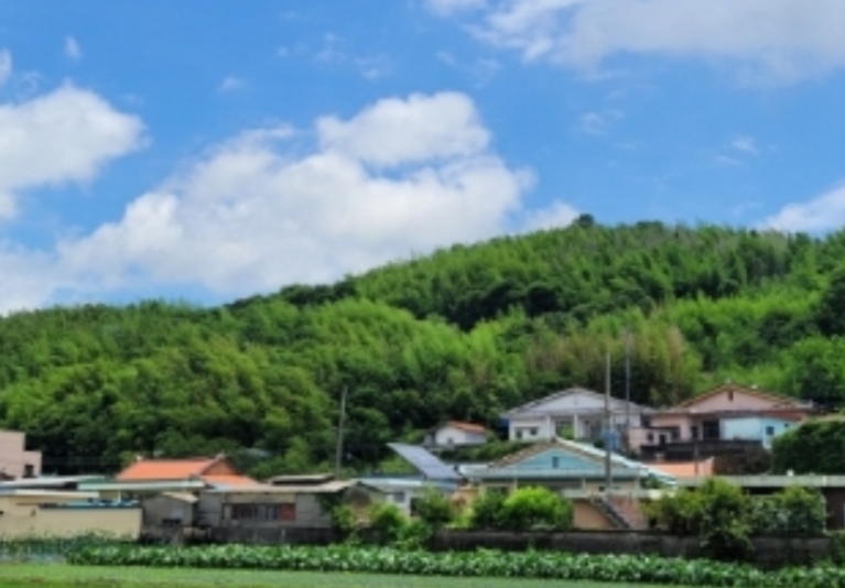 경상남도 하동군 금남면 계천리 322 대지 경매 사진 4