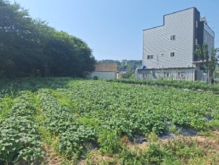 인천광역시 중구 을왕동 488-19 전 경매 사진 5