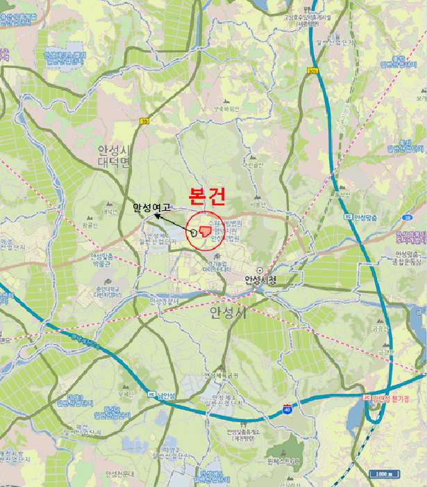 경기도 안성시 당왕동 584 안성당왕지구삼정그린코아더베스트 107동 11층1103호 아파트 경매 사진 41