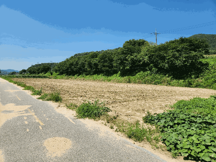충청북도 충주시 중앙탑면 장천리 826-1 전 경매 사진 10