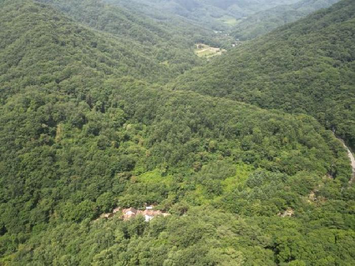 충청북도 제천시 백운면 덕동리 산13-4 외 17필지 임야 경매 사진 2