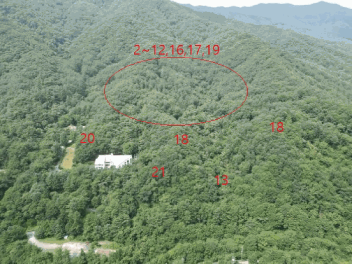 충청북도 제천시 백운면 덕동리 산13-4 외 17필지 임야 경매 사진 4