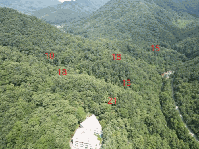 충청북도 제천시 백운면 덕동리 산13-4 외 17필지 임야 경매 사진 5