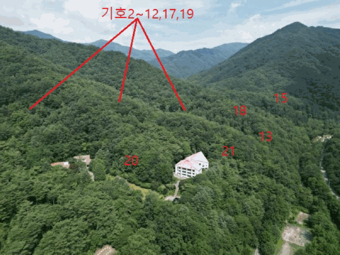 충청북도 제천시 백운면 덕동리 산13-4 외 17필지 임야 경매 사진 6