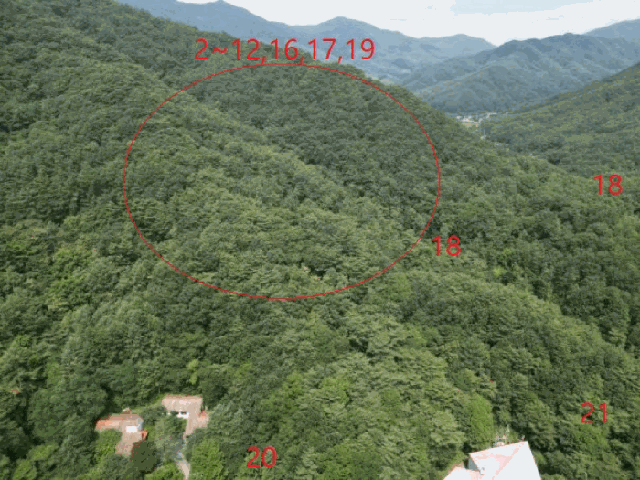 충청북도 제천시 백운면 덕동리 산13-4 외 17필지 임야 경매 사진 9