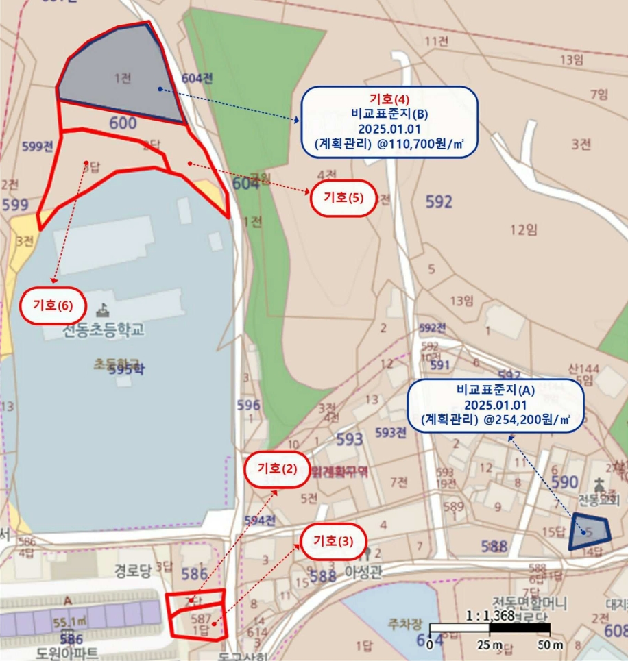 세종특별자치시 전동면 노장리 587 외 1필지 단독주택 경매 사진 18