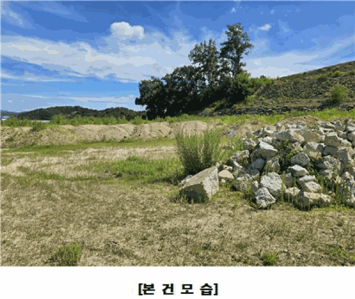 세종특별자치시 조치원읍 번암리 산30-5 임야 경매 사진 26