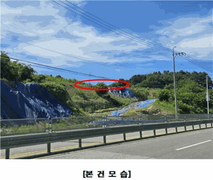 세종특별자치시 조치원읍 번암리 산30-5 임야 경매 사진 19