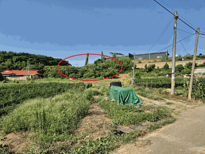 충청남도 당진시 석문면 삼봉리 767 외 1필지 전 경매 사진 3
