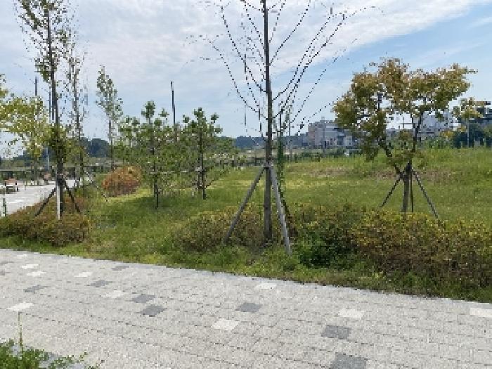 충청남도 당진시 우두동 460-114 대지,임야,전답 경매 사진 18