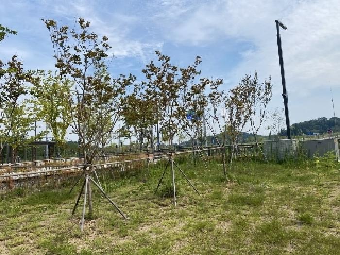 충청남도 당진시 우두동 460-114 대지,임야,전답 경매 사진 10