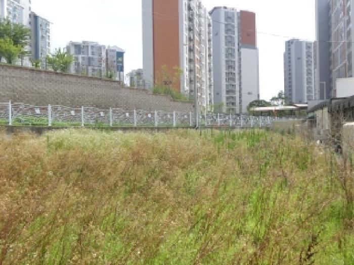 충청남도 태안군 태안읍 동문리 68-7 외 4필지 상가주택 경매 사진 6