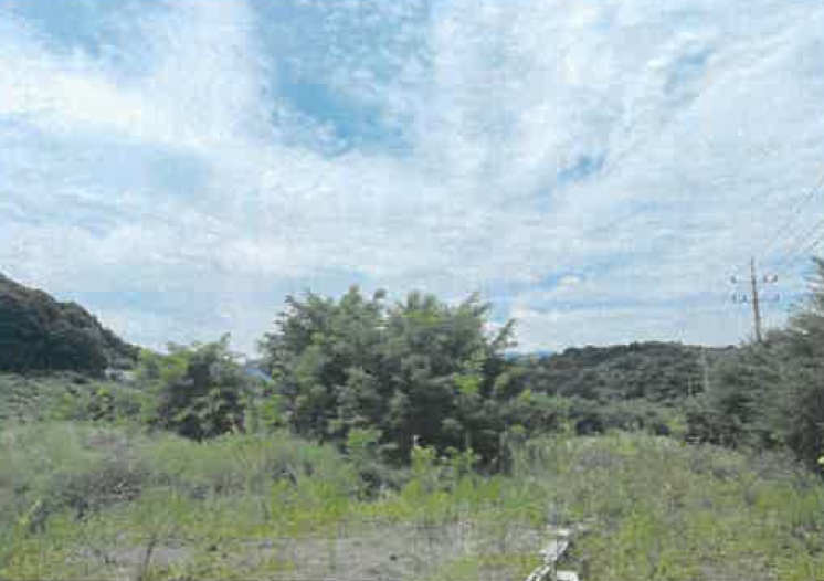 경상북도 영천시 청통면 죽정리 120-6 외 7필지 답 경매 사진 1
