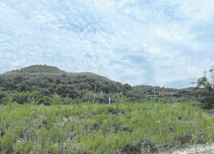 경상북도 영천시 청통면 죽정리 120-6 외 7필지 답 경매 사진 2