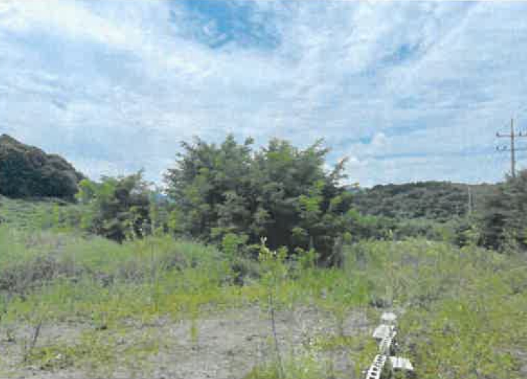 경상북도 영천시 청통면 죽정리 120-6 외 7필지 답 경매 사진 3