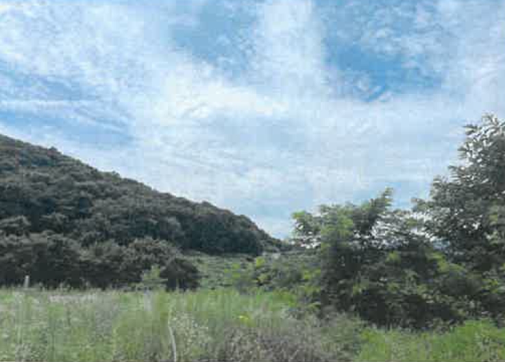 경상북도 영천시 청통면 죽정리 120-6 외 7필지 답 경매 사진 4