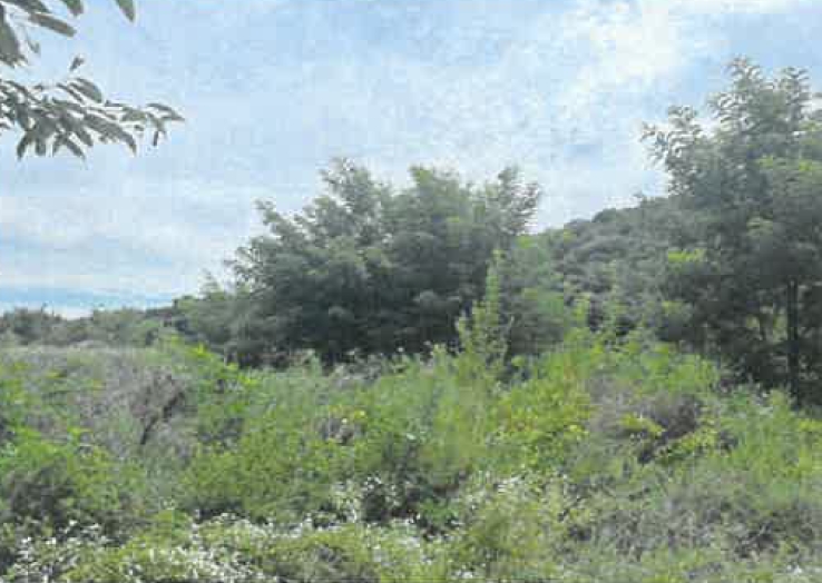 경상북도 영천시 청통면 죽정리 120-6 외 7필지 답 경매 사진 5