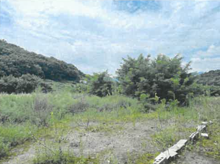 경상북도 영천시 청통면 죽정리 120-6 외 7필지 답 경매 사진 8