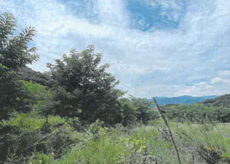 경상북도 영천시 청통면 죽정리 120-6 외 7필지 답 경매 사진 9
