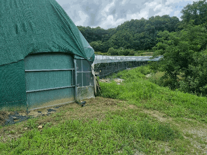 경상북도 김천시 대항면 덕전리 740 답 경매 사진 19