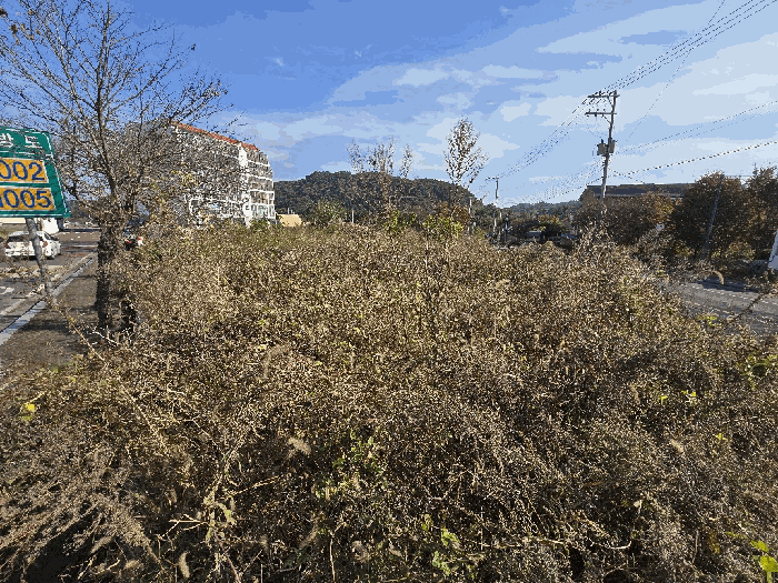 경상남도 사천시 곤양면 남문외리 148-2 외 1필지 답 경매 사진 6
