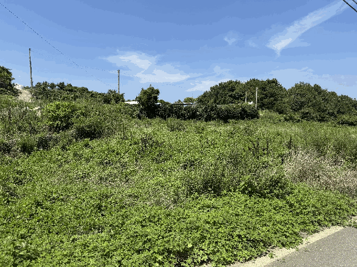 전라남도 여수시 돌산읍 우두리 405-7 전 경매 사진 5