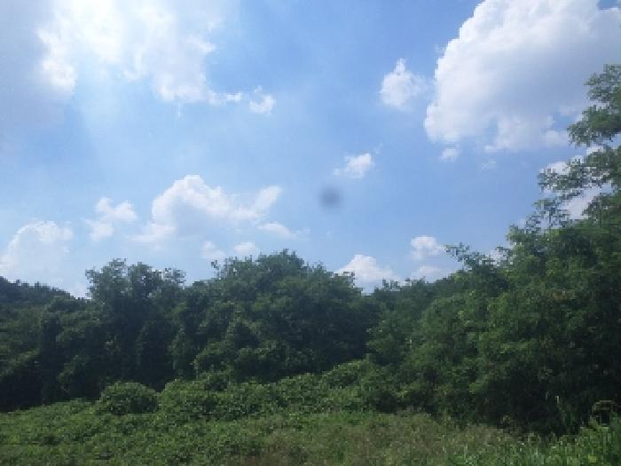 전북특별자치도 전주시 완산구 효자동3가 675-2 외 1필지 답 경매 사진 2
