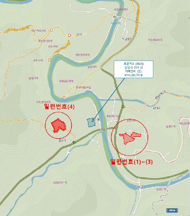 강원특별자치도 정선군 화암면 몰운리 276-1 외 2필지 전 경매 사진 8