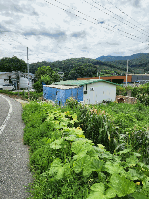 충청북도 음성군 음성읍 평곡리 205 구거 경매 사진 16