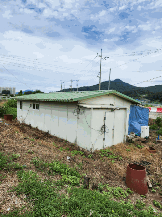 충청북도 음성군 음성읍 평곡리 205 구거 경매 사진 22