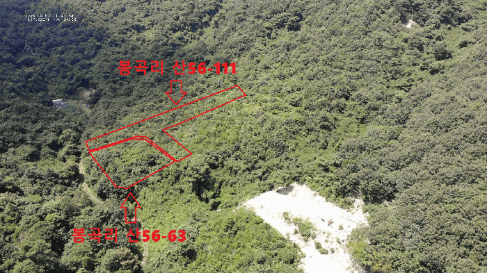 충청남도 공주시 반포면 봉곡리 산56-29 외 14필지 임야 경매 사진 31