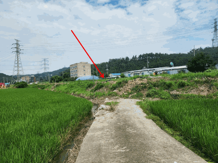 충청남도 당진시 석문면 교로리 839 외 2필지 답 경매 사진 10