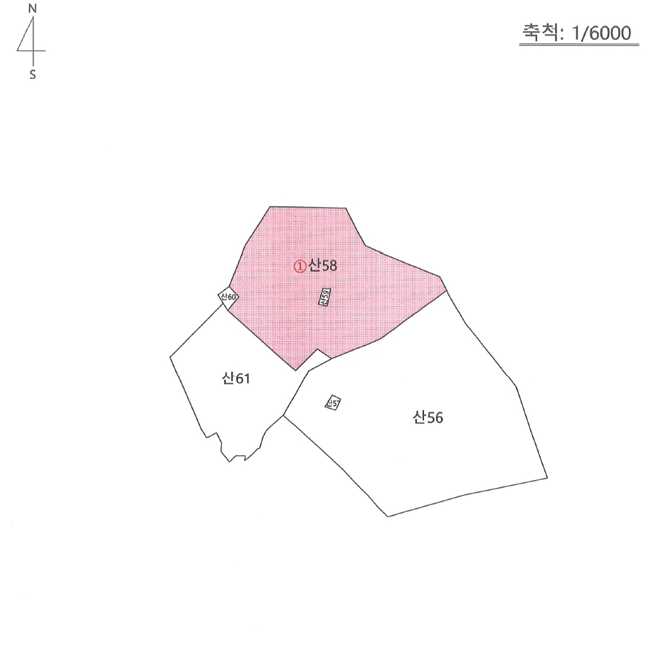 경상북도 영천시 임고면 삼매리 산58 임야 경매 사진 14