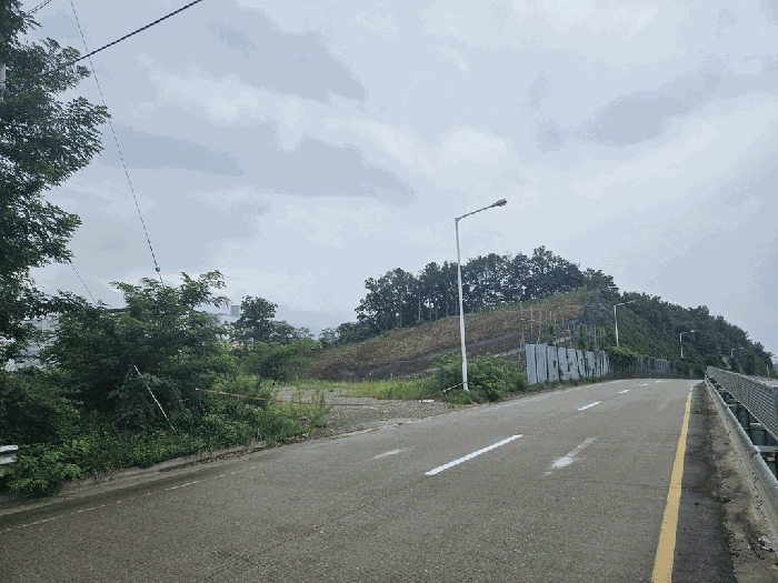 경상북도 칠곡군 지천면 연화리 산114-9 외 6필지 임야 경매 사진 11