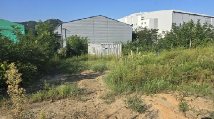 경상북도 칠곡군 지천면 연화리 산114-9 외 6필지 임야 경매 사진 6