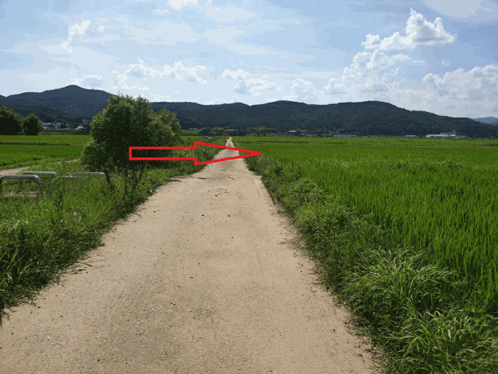 경상북도 경주시 천북면 덕산리 156 답 경매 사진 10