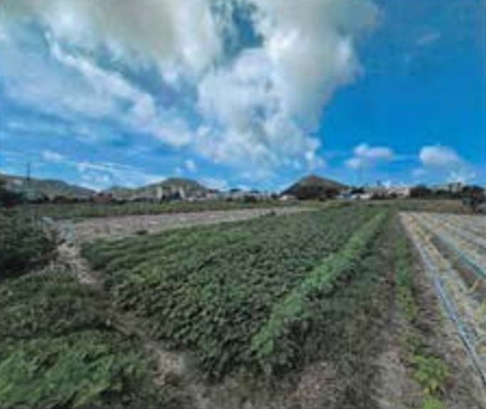 전북특별자치도 부안군 변산면 격포리 271-25 외 20필지 전 경매 사진 1
